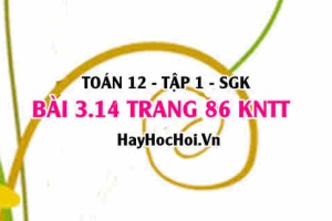 Bài 3.14 trang 86 Toán 12 tập 1 Kết nối tri thức